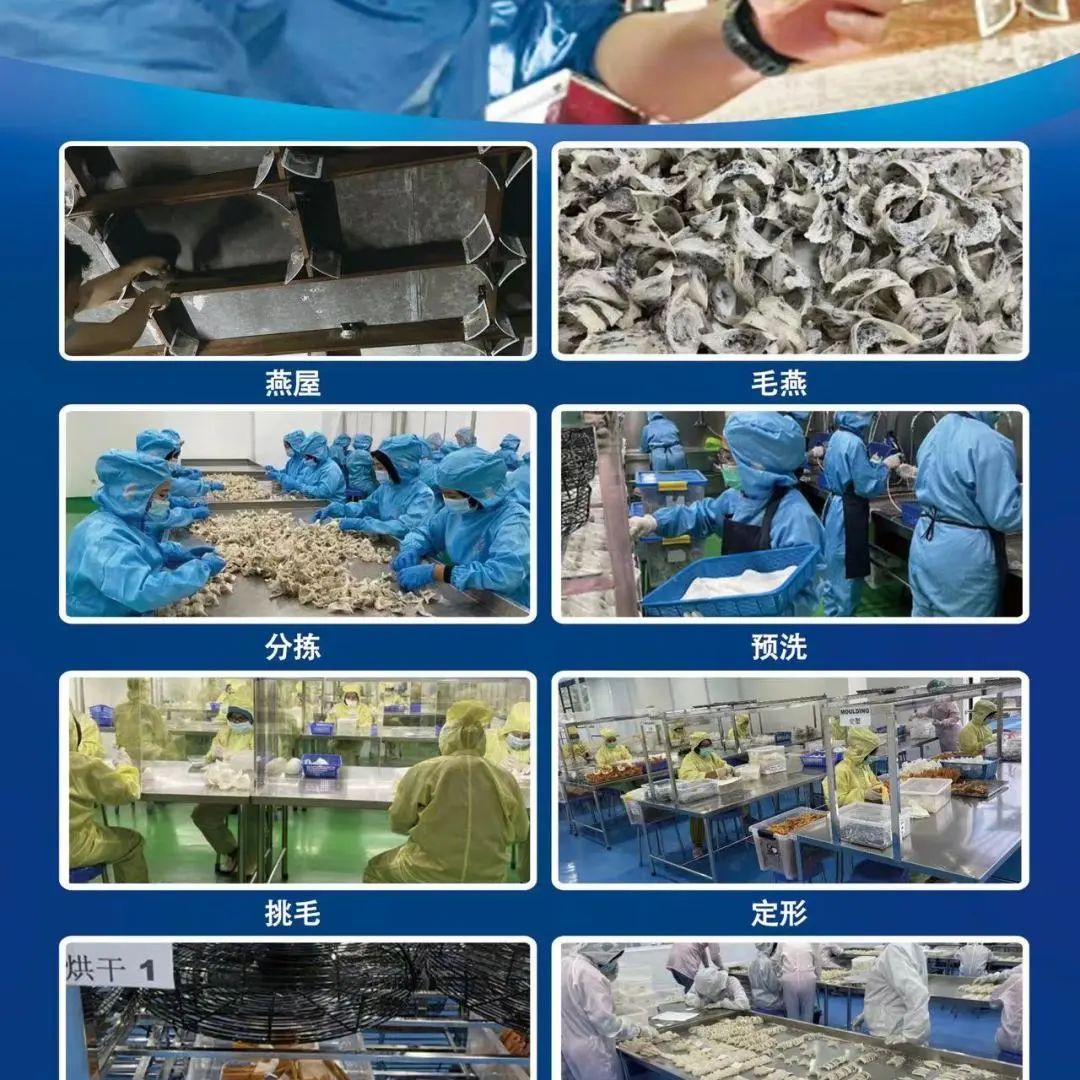 18館聯(lián)動(dòng)，18萬平米！上海漁博會(huì)規(guī)模升級(jí)，高端滋補(bǔ)館人氣火爆蓄勢(shì)待發(fā)！(圖92)