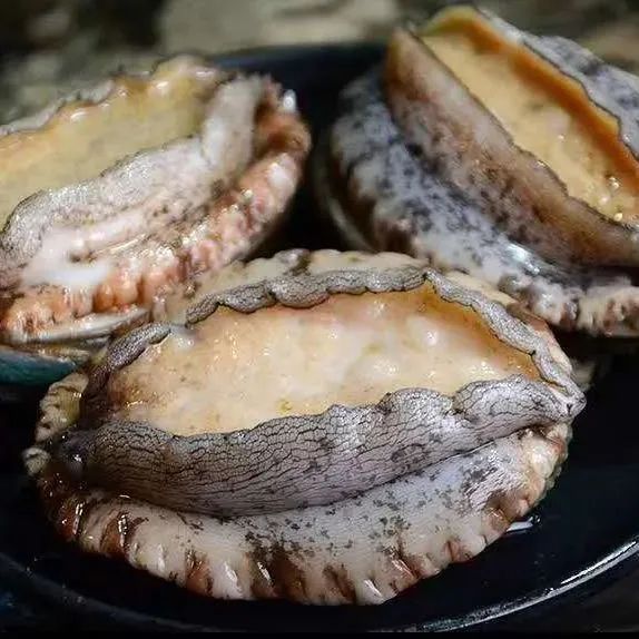 18館聯(lián)動(dòng)，18萬平米！上海漁博會(huì)規(guī)模升級(jí)，高端滋補(bǔ)館人氣火爆蓄勢(shì)待發(fā)！(圖101)