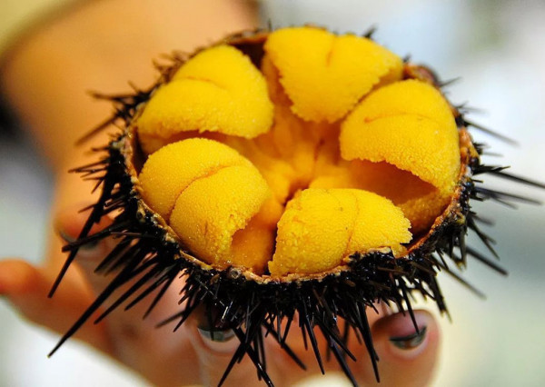 常見海鮮你知道有什么功效嗎？(圖4)