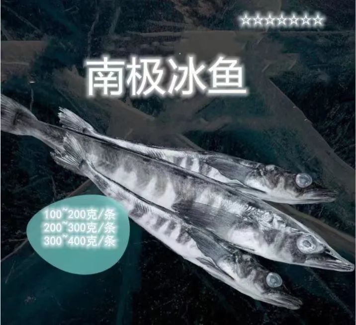 青島源之泉食品有限公司——真誠合作，攜手共贏(圖3)