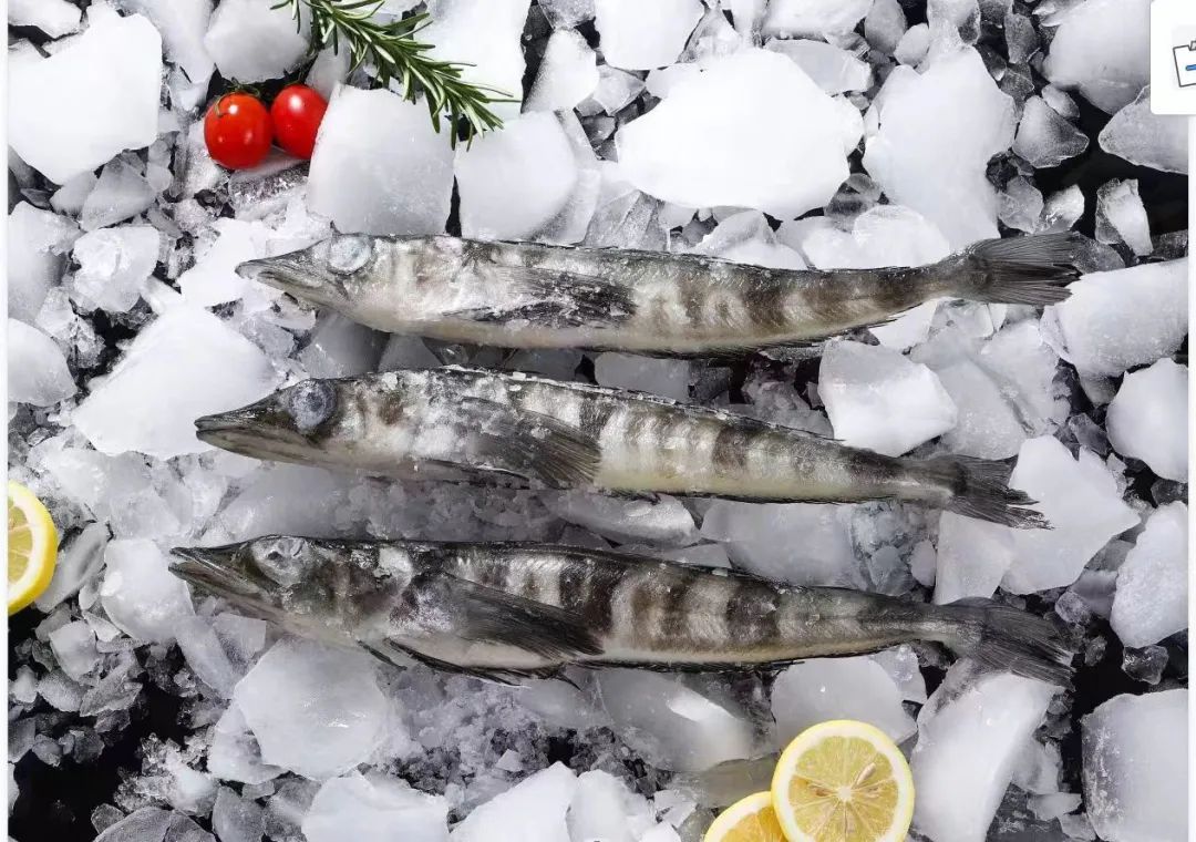 青島源之泉食品有限公司——真誠合作，攜手共贏(圖4)