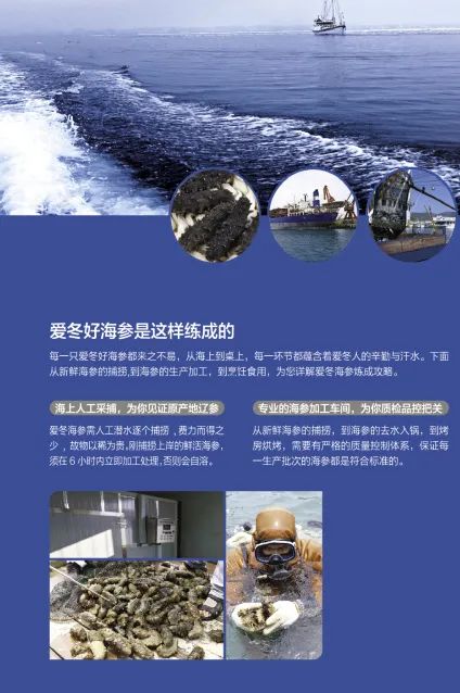 大連愛冬水產(chǎn)食品有限公司——責(zé)任、品質(zhì)、誠信(圖5)