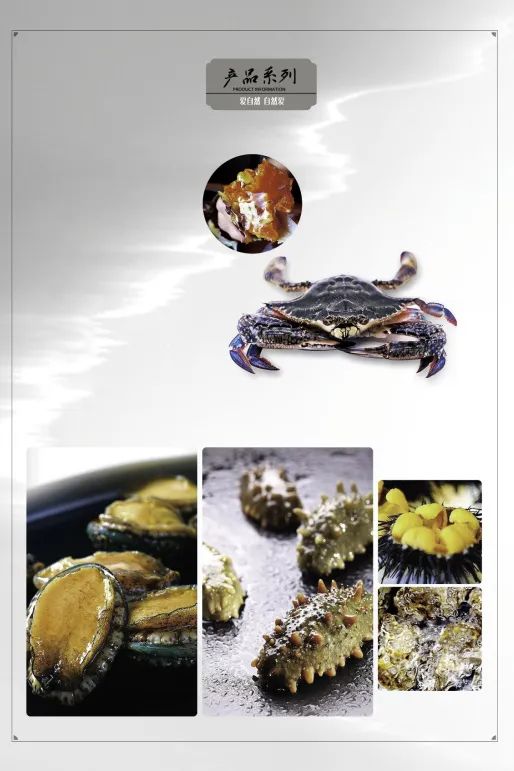 大連愛冬水產(chǎn)食品有限公司——責(zé)任、品質(zhì)、誠信(圖13)