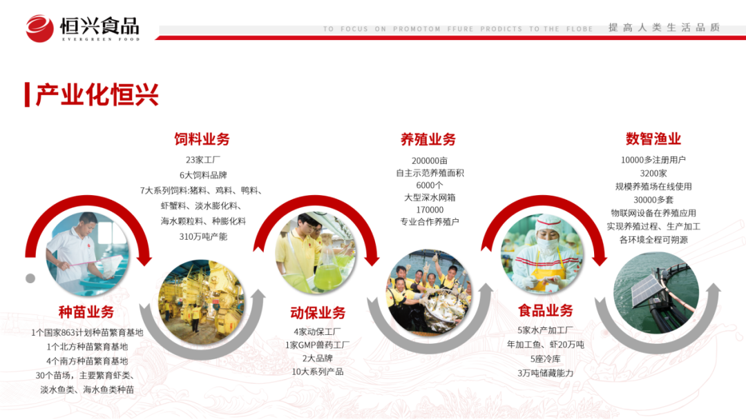 廣東恒興集團(tuán)有限公司——提高人類生活品質(zhì)(圖5)