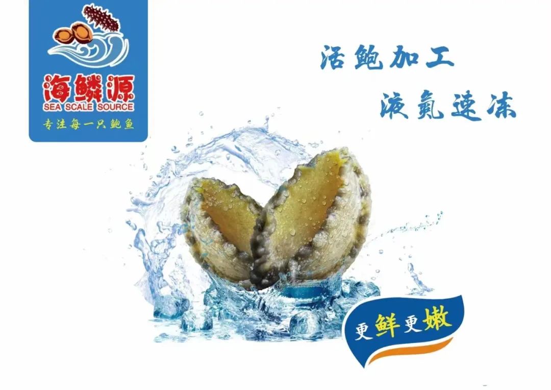 福建海鱗源食品開發(fā)有限公司——專注每一只鮑魚(圖3)