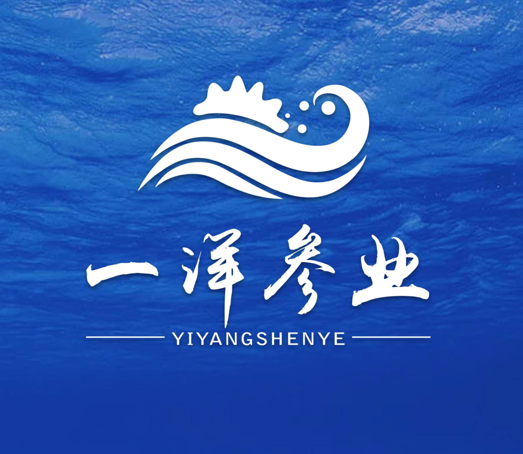 山東一洋海洋科技有限公司——匠心良品 一洋海參(圖2)