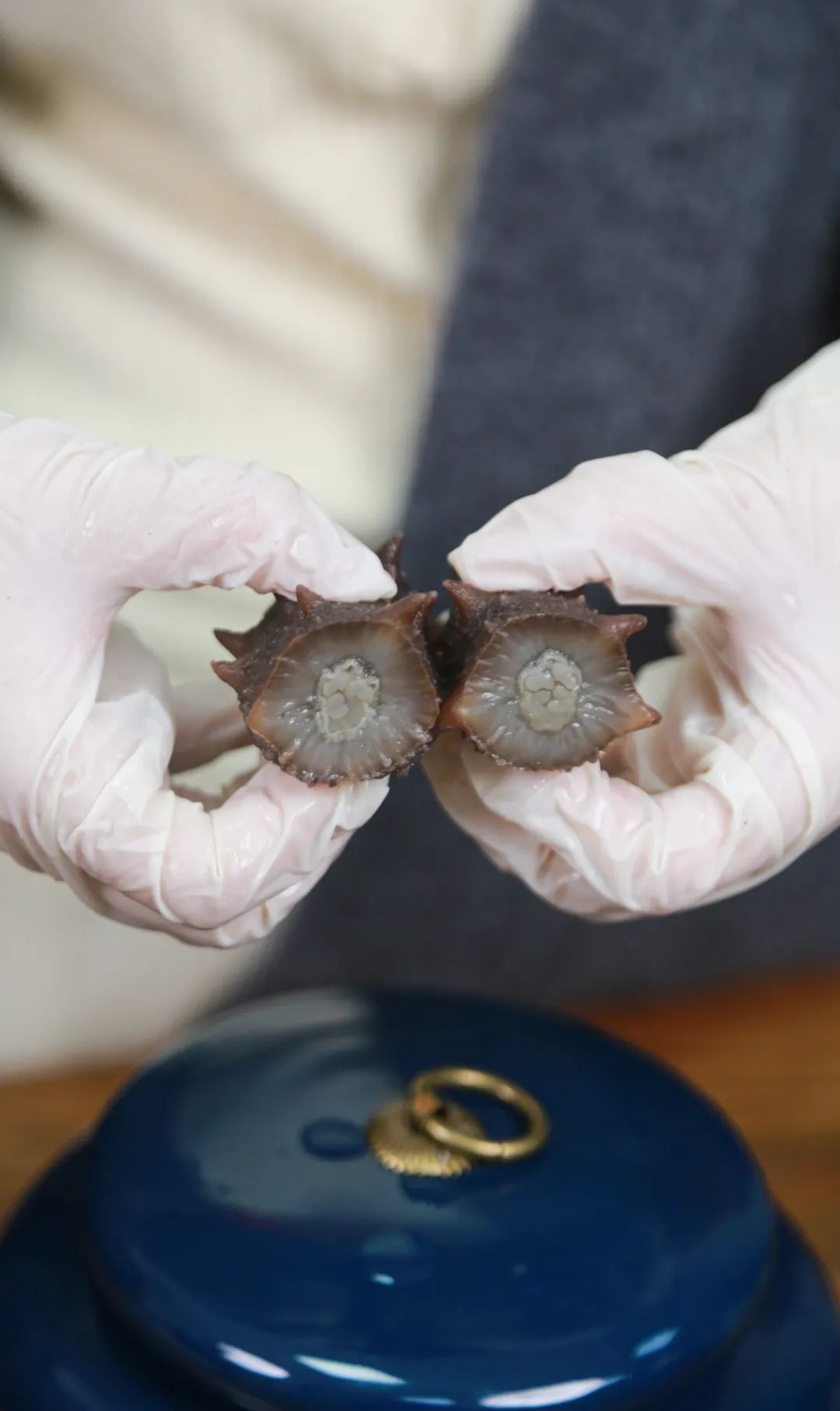 山東一洋海洋科技有限公司——匠心良品 一洋海參(圖5)