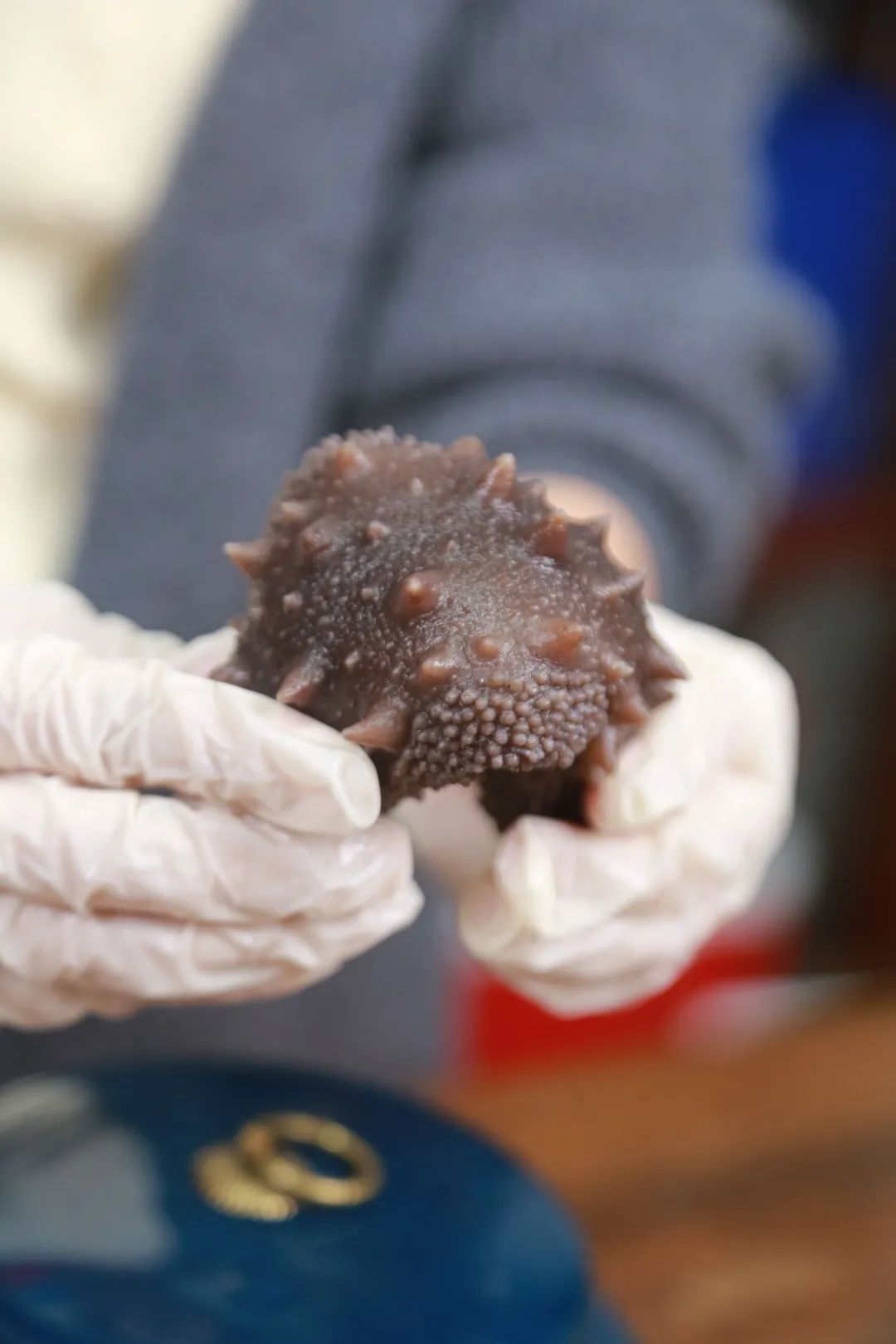 山東一洋海洋科技有限公司——匠心良品 一洋海參(圖6)