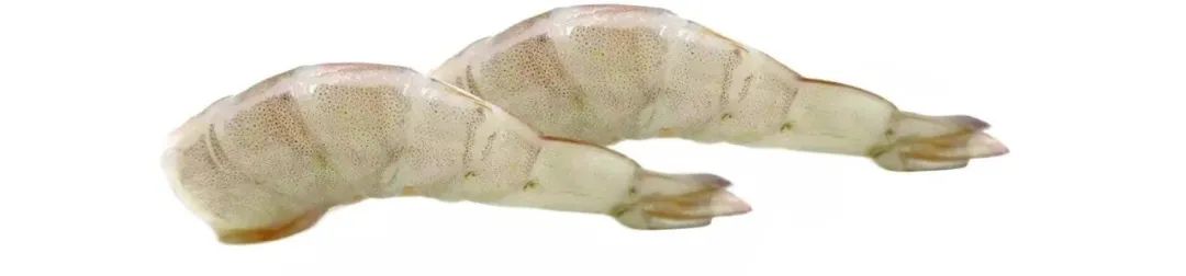 上海日仕福貿(mào)易有限公司——以專心成就安心，用細(xì)節(jié)打動客戶(圖10)