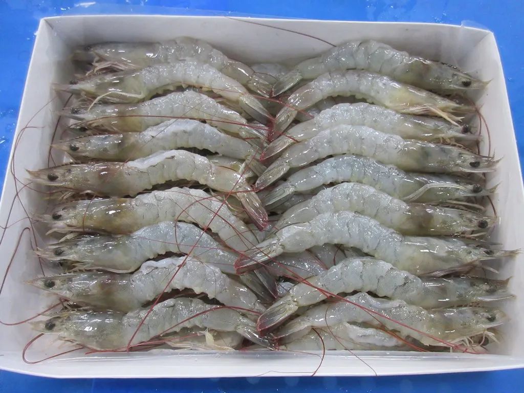 上海日仕福貿(mào)易有限公司——以專心成就安心，用細(xì)節(jié)打動客戶(圖12)