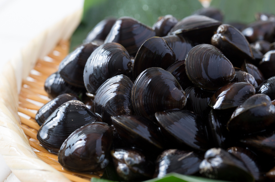 上海日仕福貿(mào)易有限公司——以專心成就安心，用細(xì)節(jié)打動客戶(圖15)