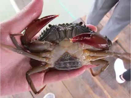 上海日仕福貿(mào)易有限公司——以專心成就安心，用細(xì)節(jié)打動客戶(圖17)