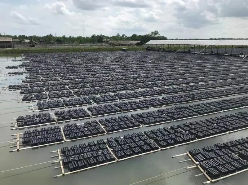 上海日仕福貿(mào)易有限公司——以專心成就安心，用細(xì)節(jié)打動客戶(圖20)