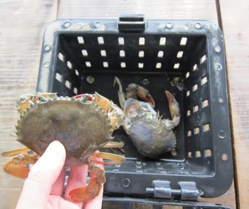 上海日仕福貿(mào)易有限公司——以專心成就安心，用細(xì)節(jié)打動客戶(圖22)