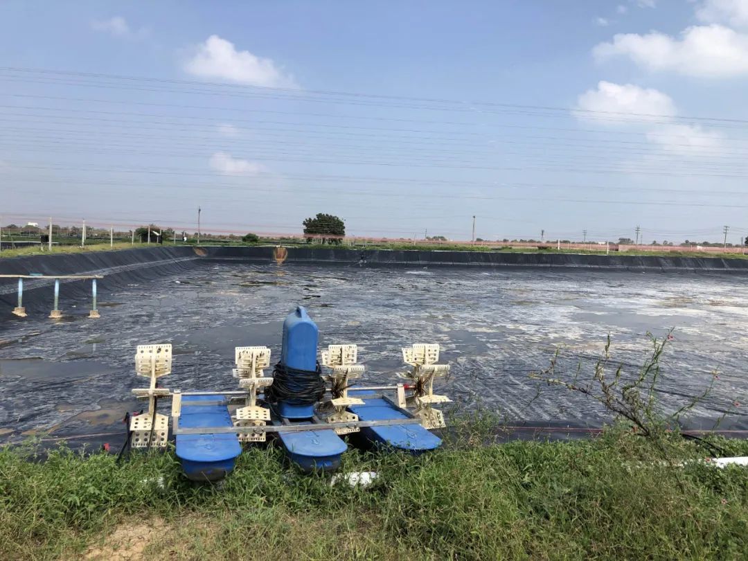 上海日仕福貿(mào)易有限公司——以專心成就安心，用細(xì)節(jié)打動客戶(圖23)