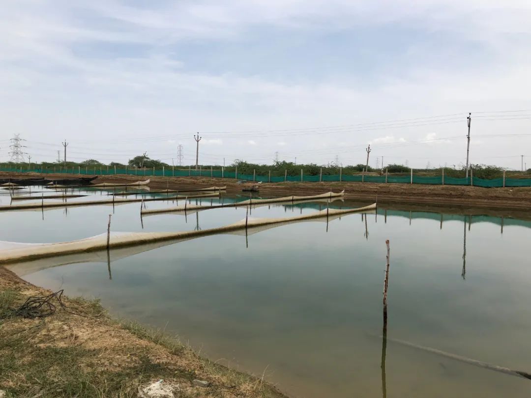 上海日仕福貿(mào)易有限公司——以專心成就安心，用細(xì)節(jié)打動客戶(圖26)