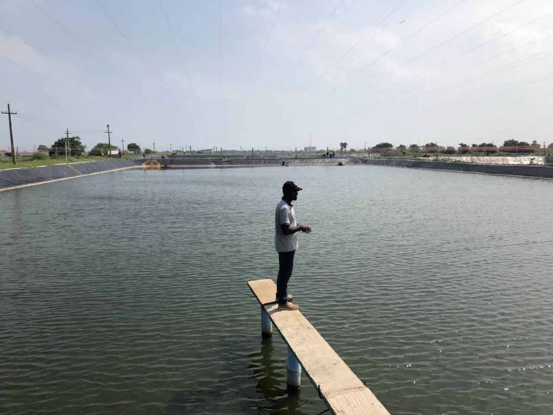 上海日仕福貿(mào)易有限公司——以專心成就安心，用細(xì)節(jié)打動客戶(圖24)