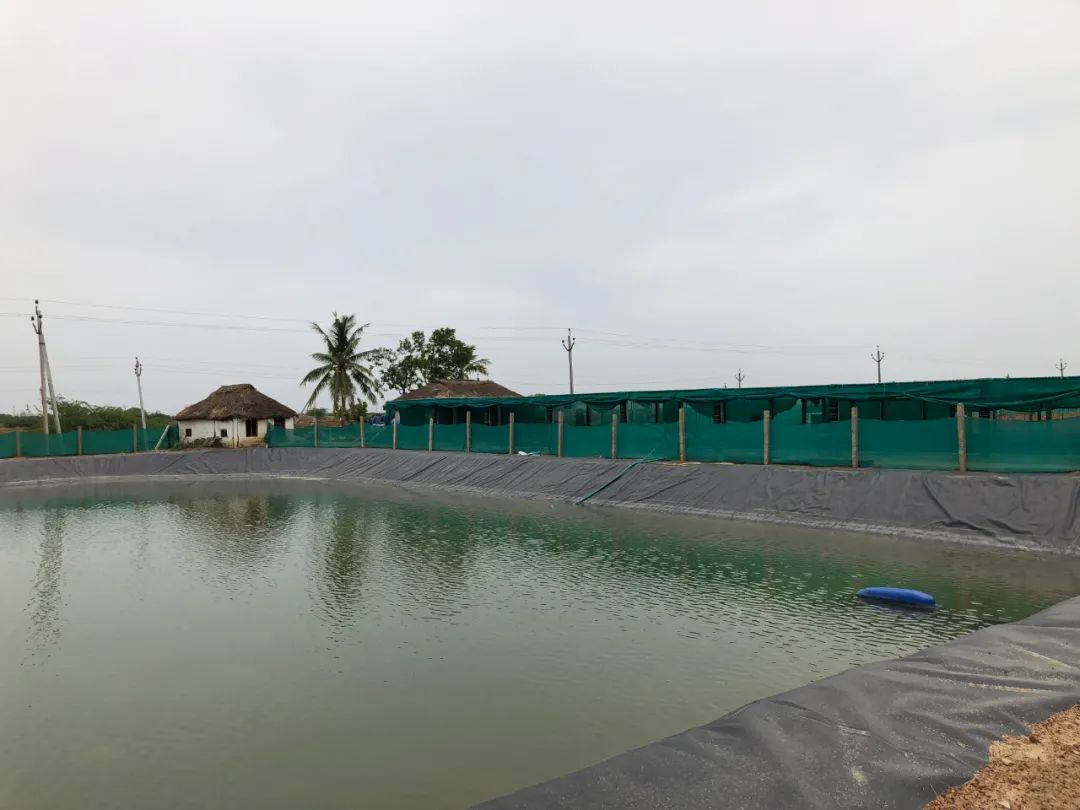 上海日仕福貿(mào)易有限公司——以專心成就安心，用細(xì)節(jié)打動客戶(圖25)