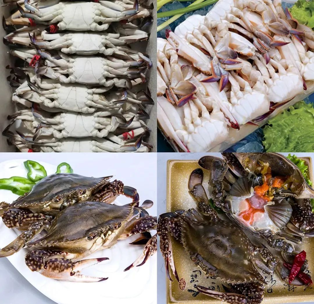 東港市大興食品有限公司——專注餐桌海洋美食(圖5)