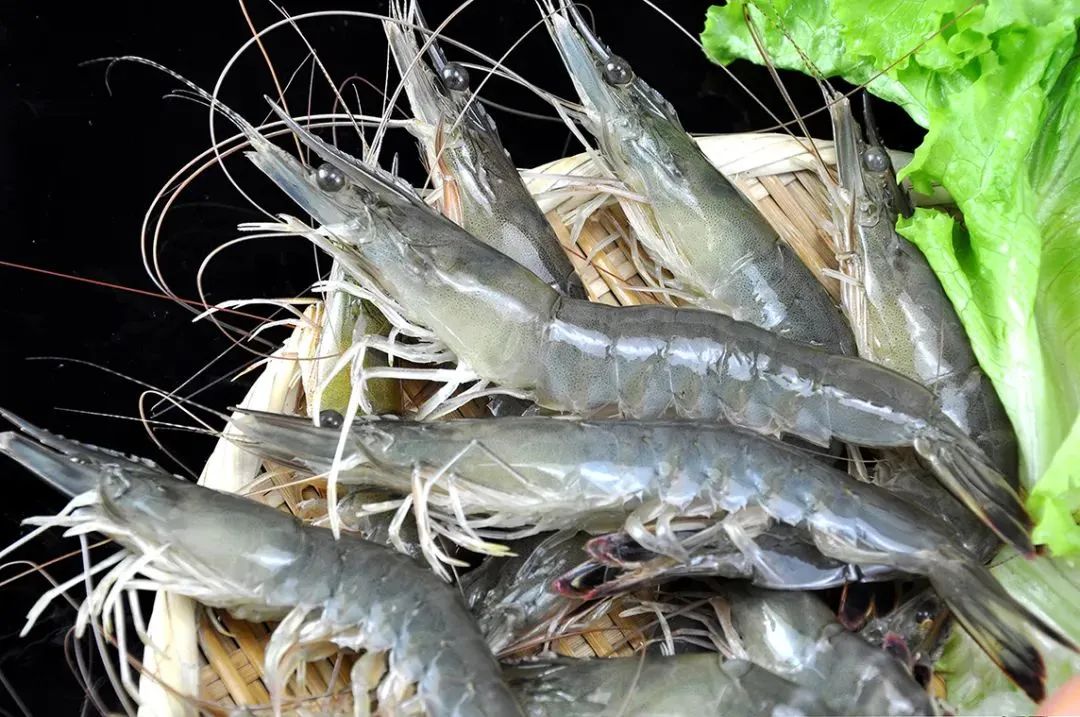 東港市大興食品有限公司——專注餐桌海洋美食(圖8)