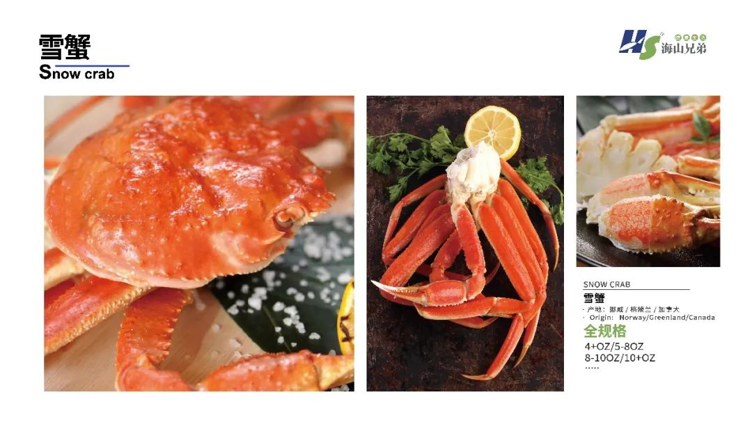 東港市大興食品有限公司座落于遼寧省東港市新城區(qū)，由大興水產(chǎn)商行于1992年創(chuàng)立并發(fā)展，至2012年正式成立公司，并創(chuàng)立“漁凱”品牌。下設(shè)大興冷凍食品加工廠、鮮活水產(chǎn)批發(fā)門店、本地海鮮產(chǎn)品服務(wù)供應(yīng)鏈、海(圖11)