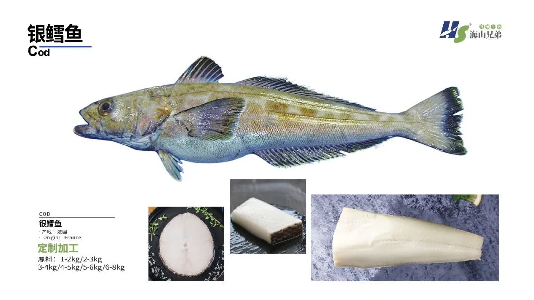 東港市大興食品有限公司座落于遼寧省東港市新城區(qū)，由大興水產(chǎn)商行于1992年創(chuàng)立并發(fā)展，至2012年正式成立公司，并創(chuàng)立“漁凱”品牌。下設(shè)大興冷凍食品加工廠、鮮活水產(chǎn)批發(fā)門店、本地海鮮產(chǎn)品服務(wù)供應(yīng)鏈、海(圖18)