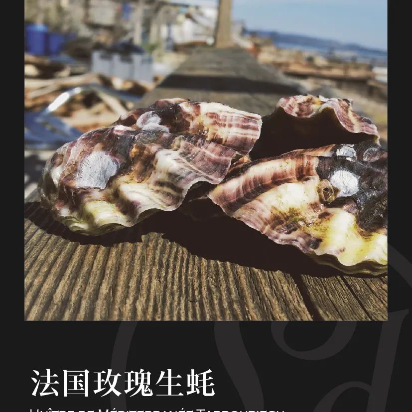 鼎宴食品（上海）有限公司——生活因美食而綻放(圖11)