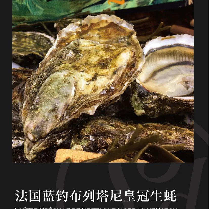 鼎宴食品（上海）有限公司——生活因美食而綻放(圖13)