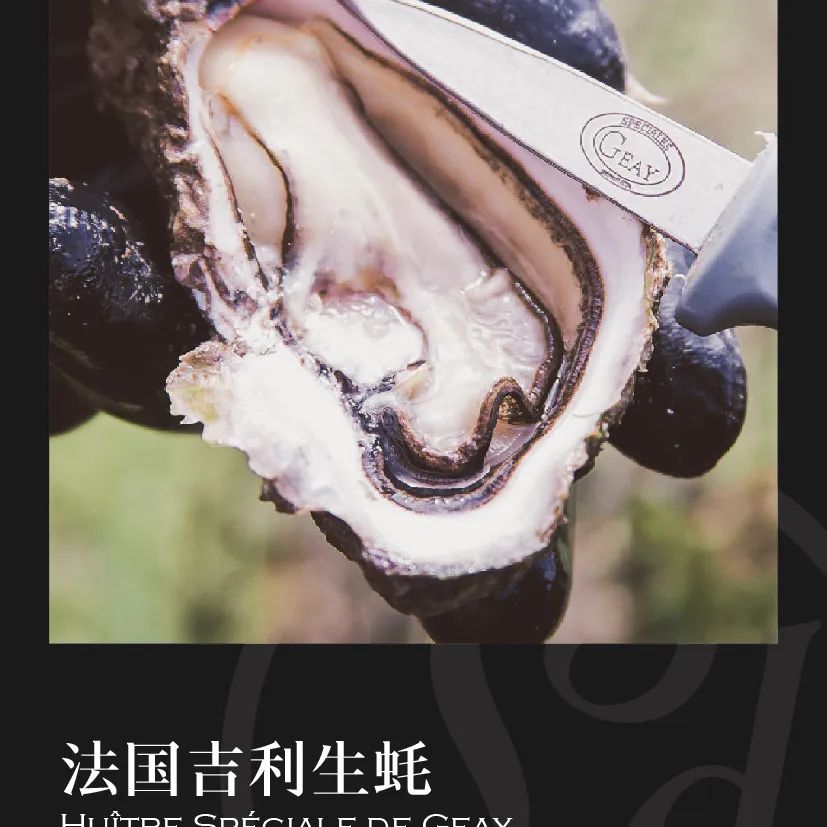 鼎宴食品（上海）有限公司——生活因美食而綻放(圖9)