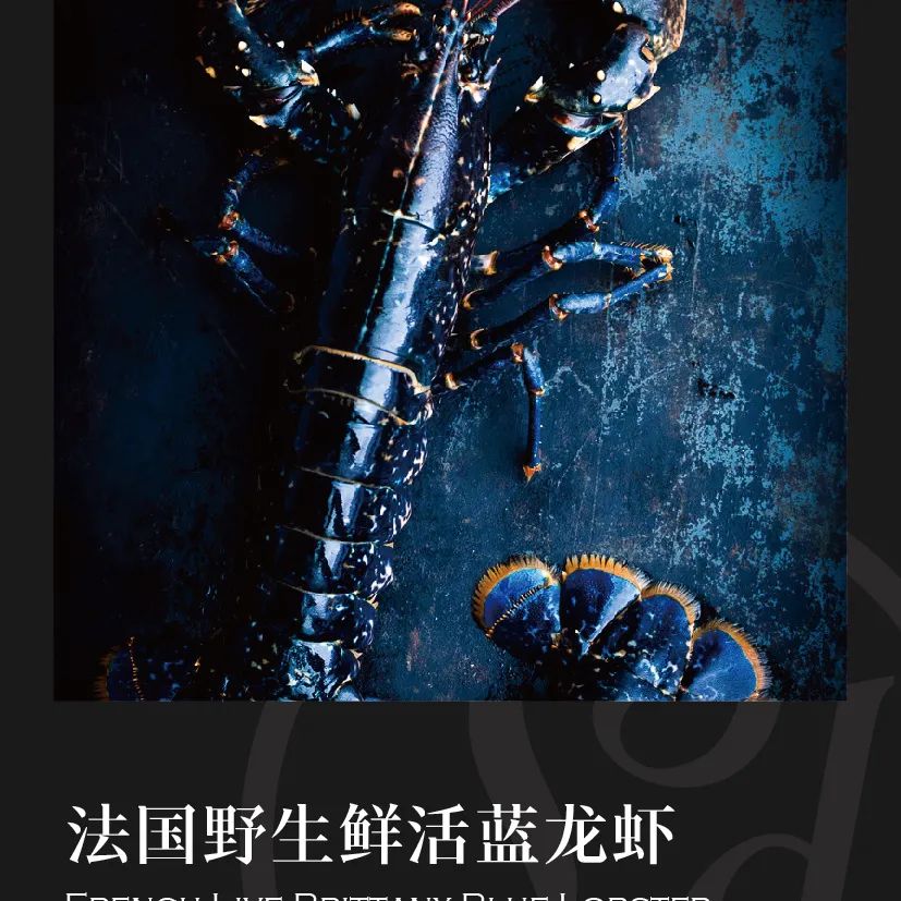 鼎宴食品（上海）有限公司——生活因美食而綻放(圖20)