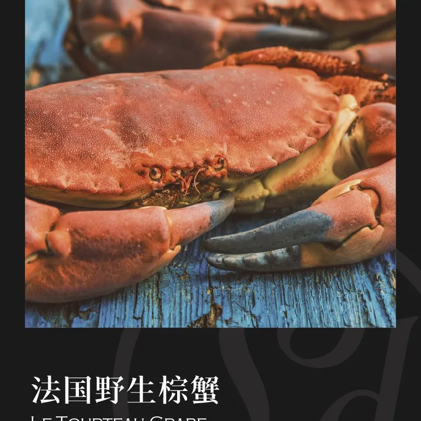 鼎宴食品（上海）有限公司——生活因美食而綻放(圖21)