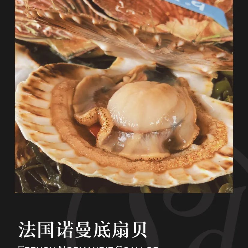 鼎宴食品（上海）有限公司——生活因美食而綻放(圖22)