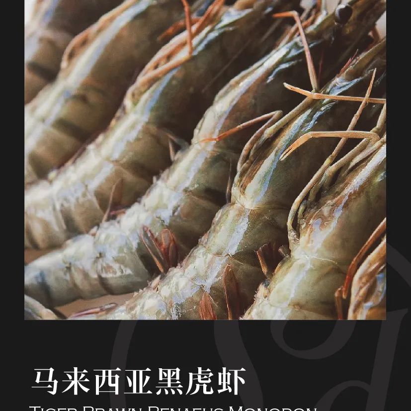 鼎宴食品（上海）有限公司——生活因美食而綻放(圖27)