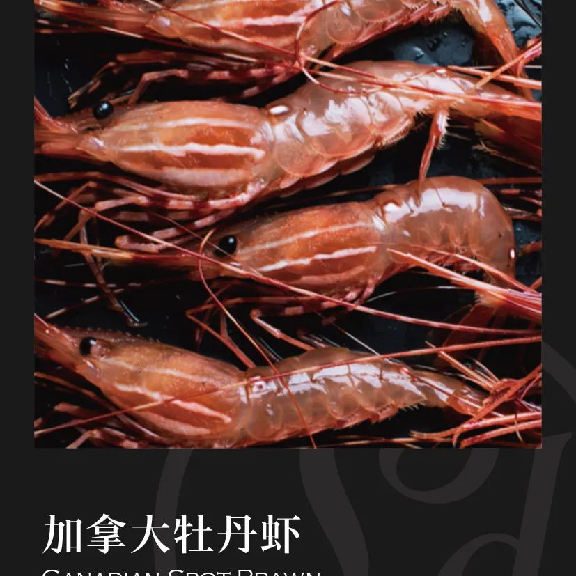 鼎宴食品（上海）有限公司——生活因美食而綻放(圖29)