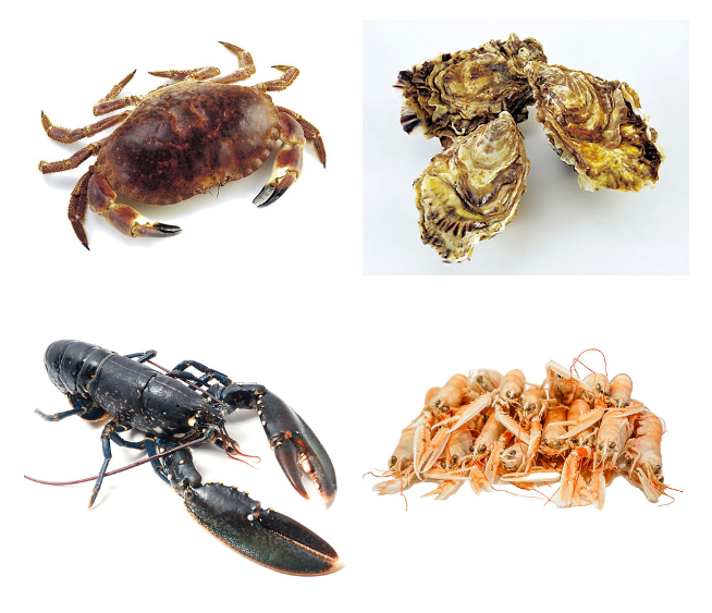 The Emerald Isle, respecting nature -- Bord Bia takes the lead in showcasing natural, delicious, hig(圖3) The Emerald Isle, respecting nature -- Bord Bia takes the lead in showcasing natural, delicious, hig(圖3)