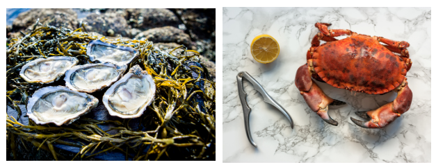 The Emerald Isle, respecting nature -- Bord Bia takes the lead in showcasing natural, delicious, hig(圖5) The Emerald Isle, respecting nature -- Bord Bia takes the lead in showcasing natural, delicious, hig(圖5)