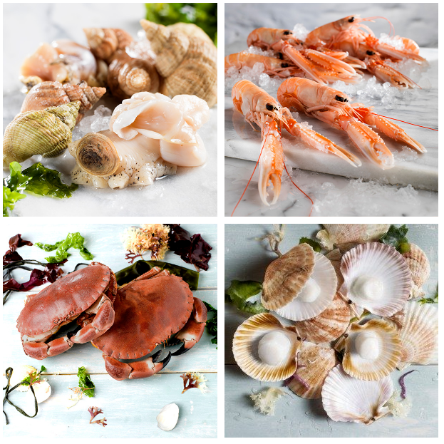 The Emerald Isle, respecting nature -- Bord Bia takes the lead in showcasing natural, delicious, hig(圖7) The Emerald Isle, respecting nature -- Bord Bia takes the lead in showcasing natural, delicious, hig(圖7)